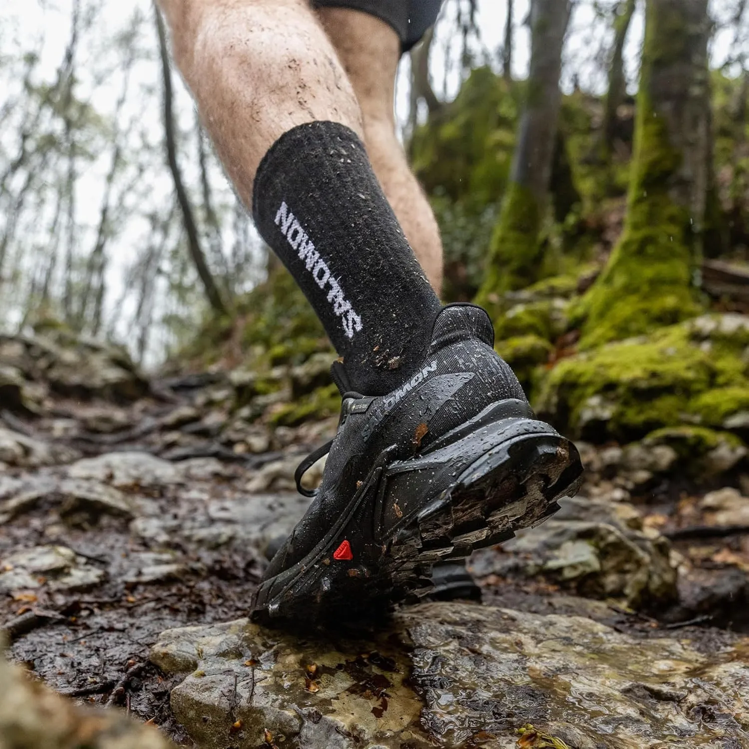 Salomon Men??s Alphacross 5 Gore-Tex, Waterproof Trail Running Shoes