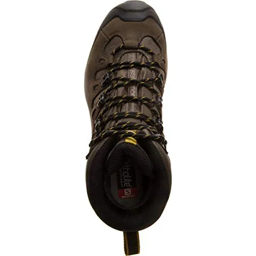 Salomon Men's Quest 4D 3 GTX Backpacking Boots, Wren/Bungee Cord/Green Sulphur, 11.5